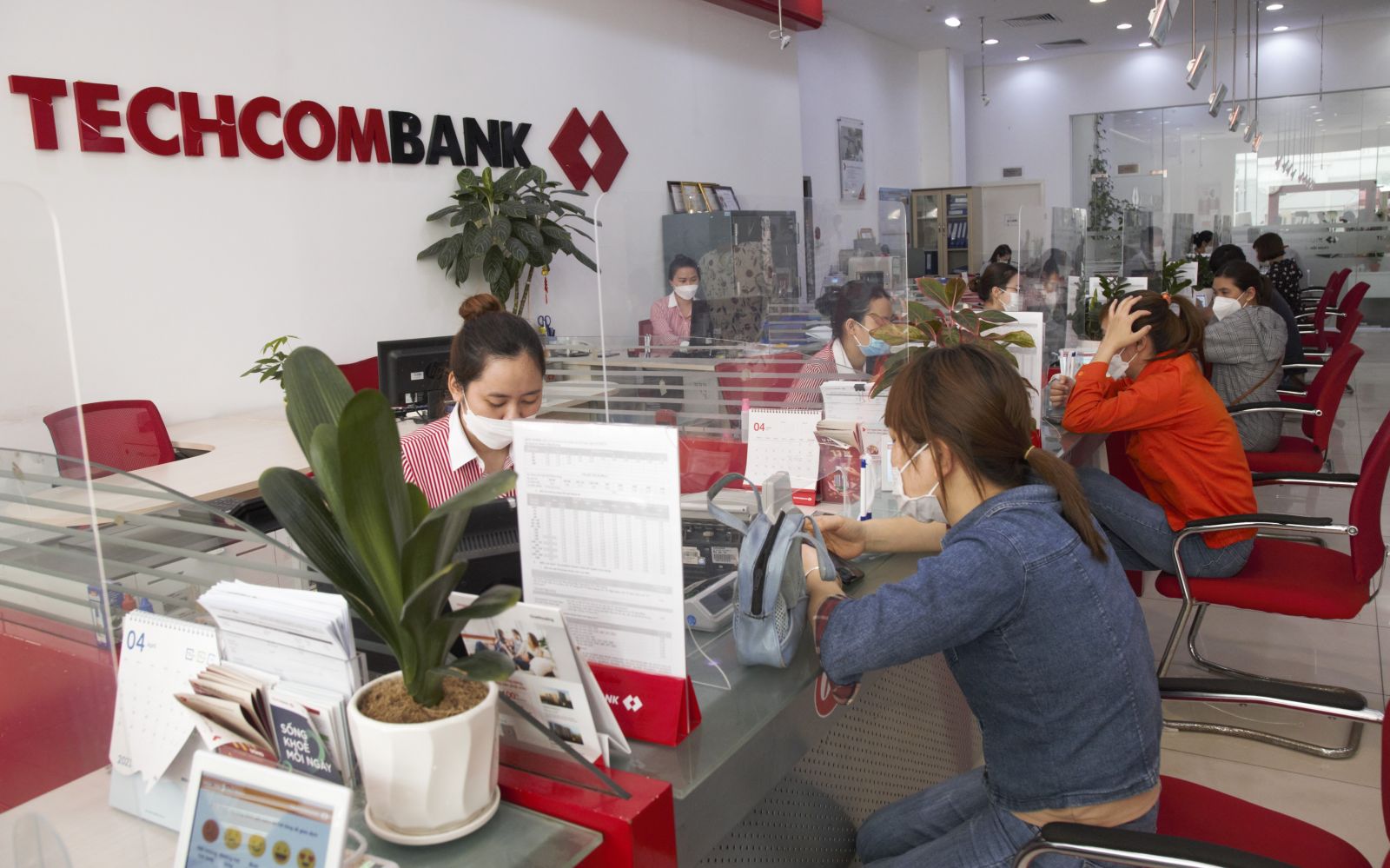 Ngân hàng Techcombank Thái Bình thông tin liên hệ địa chỉ số điện thoại tổng đài